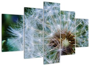 Tabloul cu păpădie desflorit (150x105 cm)