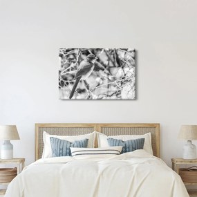 Tablou - Bluebird în timpul iernii (90x60 cm)