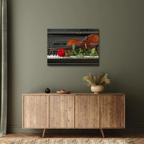 Tablou- Amintire de muzicean (70x50 cm)