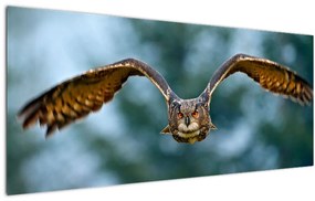 Tablou -Bufnita în zbor (120x50 cm)