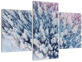 Tablou cu copaci înzăpeziți (90x60 cm)