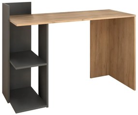 Masă PC Alamein (stejar artisan + grafit) . 1116231