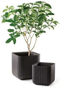 Ghiveci CUBE PLANTER M, maro