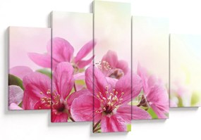 Tablou - Flori roz (150x105 cm)