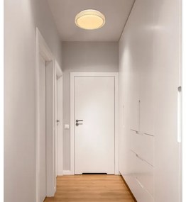 Globo 41749-12 - Plafonier LED OVI 12W 230V