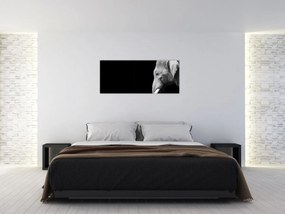 Tablou - Elefant (120x50 cm)
