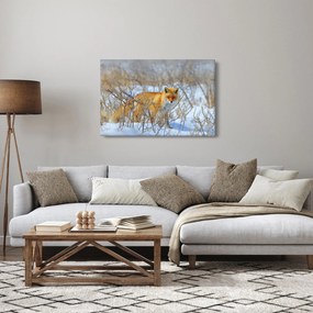 Tablou - Vulpe (90x60 cm)