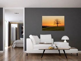 Tablou cu apus de soare pe o luncă (90x60 cm)
