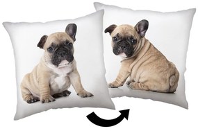 Pernă pentru copii 40x40 cm Bulldog – Jerry Fabrics