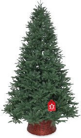 Brad Siberian 100 % 180 cm