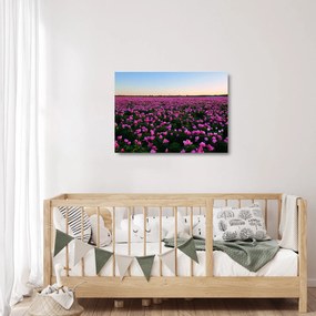 Tablou pe sticlă - Pajiștea cu lalele violet (70x50 cm)