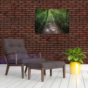 Tablou pe sticlă - Razele solare în junglă (70x50 cm)