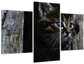 Tablou cu pisicuța (90x60 cm)