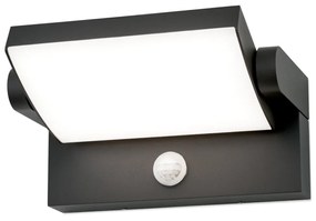 Aplica LED pentru exterior cu senzor de miscare IP54, GINGER antracit