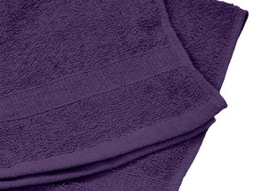 Prosop BASIC SMALL 40 x 60 cm violet inchis