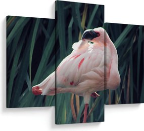 Tablou - Pasărea Flamengo (90x60 cm)