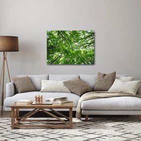 Tablou - privire în coroanele pomilor (70x50 cm)