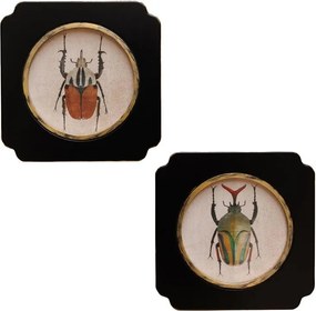 Set 2 tablouri cu insecte, cu rama din lemn, Beetles
