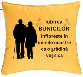 Perna Decorativa pentru Bunici 1, 40x40 cm, Galben, Husa Detasabila, Burduf