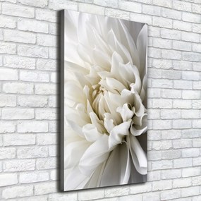 Print pe pânză Dahlia alb