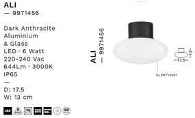 Plafoniera LED iluminat exterior moderrn IP565 ALI
