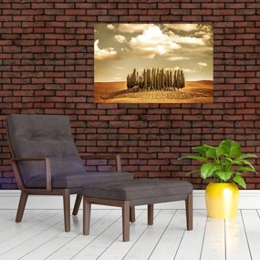 Tablou cu luncă (90x60 cm)