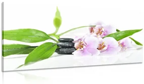 Tablou natura moartă cu pietre Zen