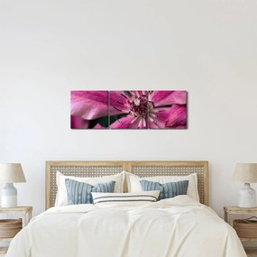 Tablou cu floarea roz de clematis (cu ceas) (90x30 cm)