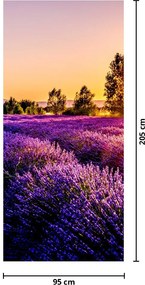 Fototapet pentru ușă - Câmp de lavandă (95x205cm)