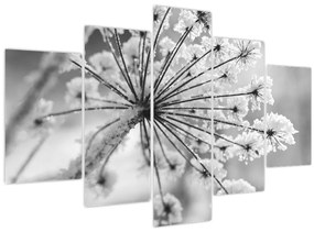 Tablou - Floare în timpul iernii (150x105 cm)