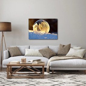 Tablou cu bulină înghețată (70x50 cm)