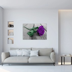 Tablou - Trandafir violet cu tulpina verde (90x60 cm)