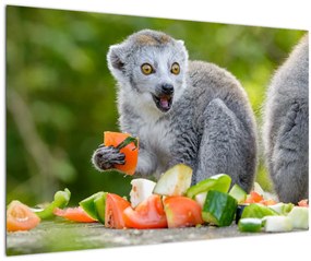 Tablou cu lemur (90x60 cm)