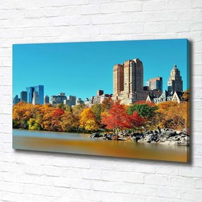 Tablou pe pânză canvas New york, în toamna