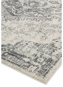 Covor gri/crem 200x290 cm Nova – Asiatic Carpets