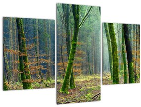 Tablou cu pădure (90x60 cm)