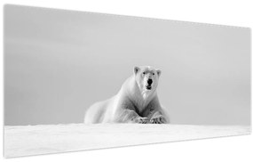 Tablou - Urs polar,alb-negru (120x50 cm)
