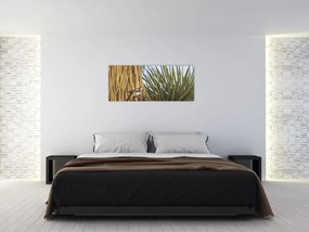 Tablou - Pănțărușul (120x50 cm)