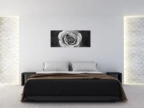 Tablou - Trandafir (120x50 cm)