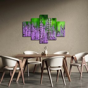 Tablou cu flori de luncă violete (150x105 cm)