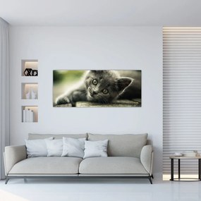 Tablou cu pisicuța (120x50 cm), în 40 de alte dimensiuni noi