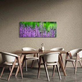 Tablou cu flori de luncă violete (120x50 cm)