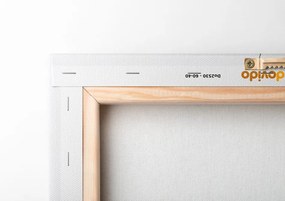 Tablou fire de iarbă minimaliste