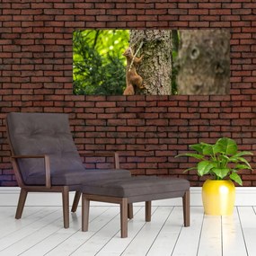 Tablou - Veverița (120x50 cm)