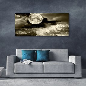 Tablou pe panza canvas Noapte Moon Peisaj Gri Negru