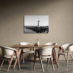 Tablou - Far de pe coastă, Santa Cruz, California (70x50 cm)