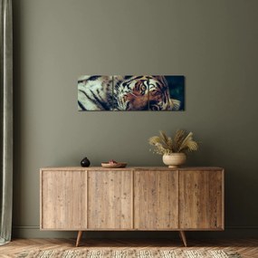 Tablou - Tigrul Siberian (cu ceas) (90x30 cm)