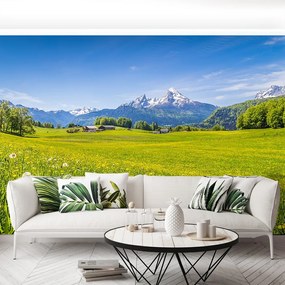 Fototapet pajisti alpine