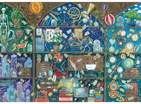 RAVENSBURGER - PUZZLE CABINETUL CURIOZITATILOR 1000 PIESE - RAVENSBURGER (RVSPA00785)