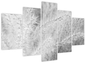 Tablou - Iarbă de pampas N⁰1 (150x105 cm)